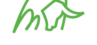 ToroVerde Foundation