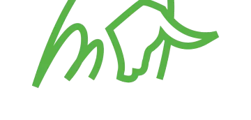 Toroverde Foundation Logo
