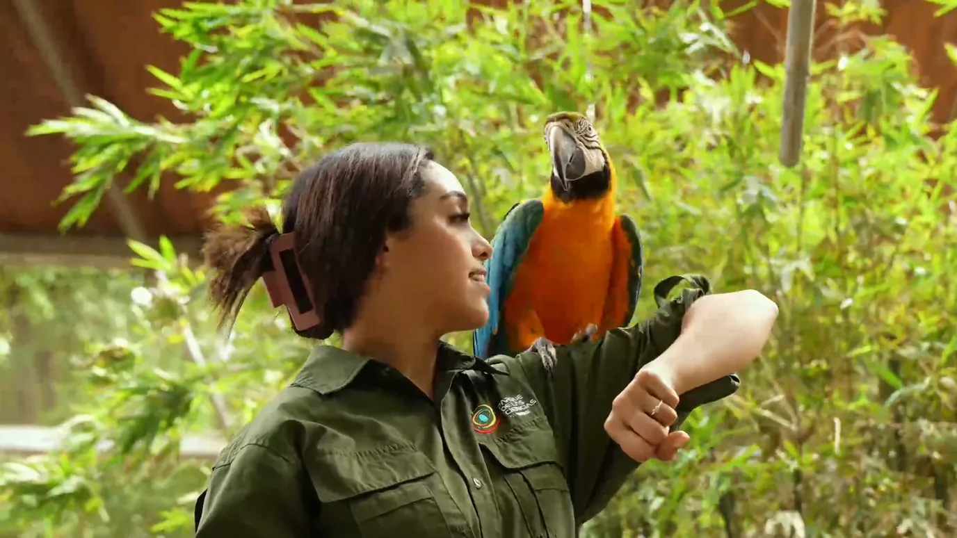 Investigadora observa un ave silvestre en su hábitat natural
